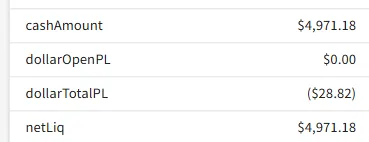 Account dashboard after auto-liquidation, showing netLiq below the calculated threshold